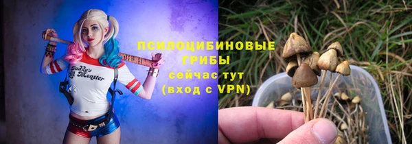 гидра Кодинск