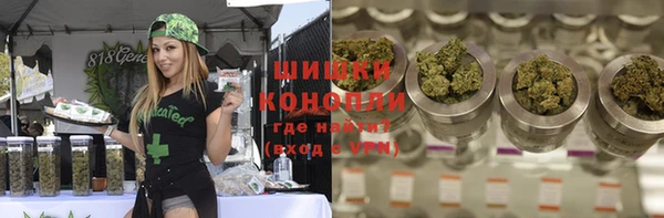 ПСИЛОЦИБИНОВЫЕ ГРИБЫ Козловка