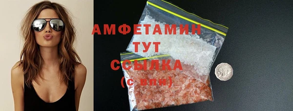 гидра Кодинск