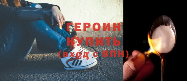 гидра Кодинск