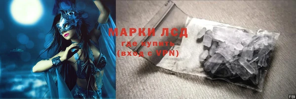 ПСИЛОЦИБИНОВЫЕ ГРИБЫ Козловка