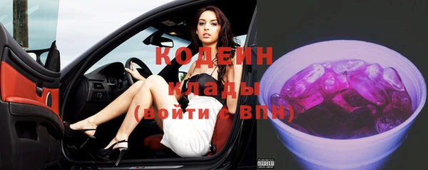 шишки Козельск