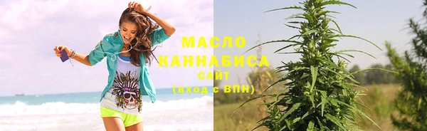 гидра Кодинск
