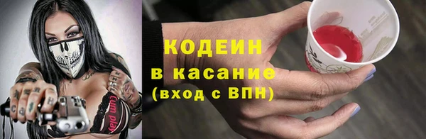 гидра Кодинск