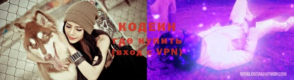 ПСИЛОЦИБИНОВЫЕ ГРИБЫ Козловка