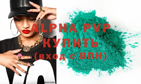 ПСИЛОЦИБИНОВЫЕ ГРИБЫ Козловка