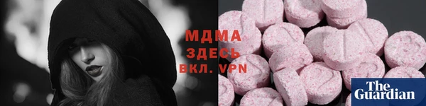 гидра Кодинск