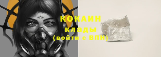 ПСИЛОЦИБИНОВЫЕ ГРИБЫ Козловка
