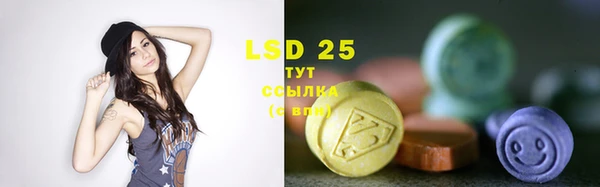 гидра Кодинск