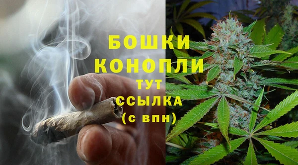 шишки Козельск