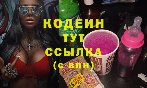 шишки Козельск