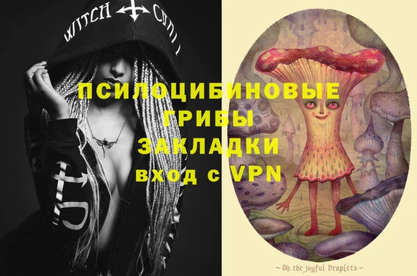 ПСИЛОЦИБИНОВЫЕ ГРИБЫ Козловка