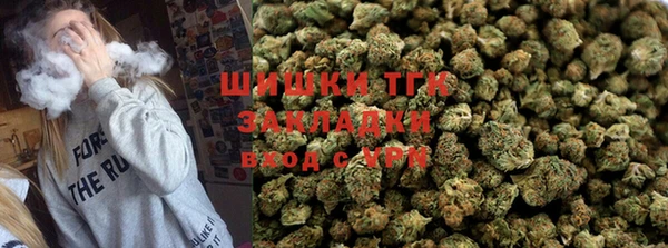 шишки Козельск