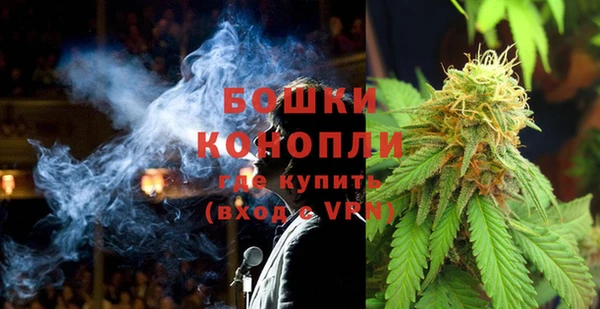 шишки Козельск