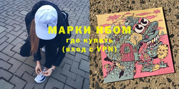 гидра Кодинск