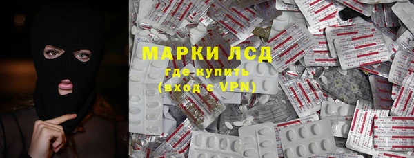 ПСИЛОЦИБИНОВЫЕ ГРИБЫ Козловка