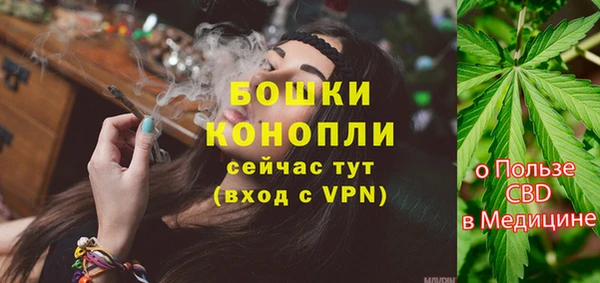 ПСИЛОЦИБИНОВЫЕ ГРИБЫ Козловка