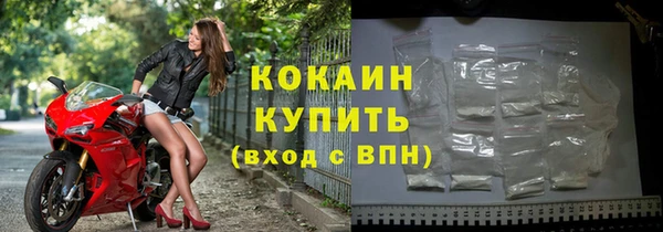 шишки Козельск