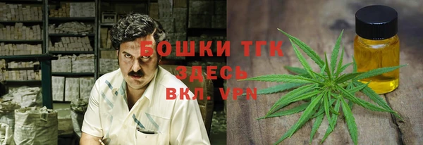 гидра Кодинск